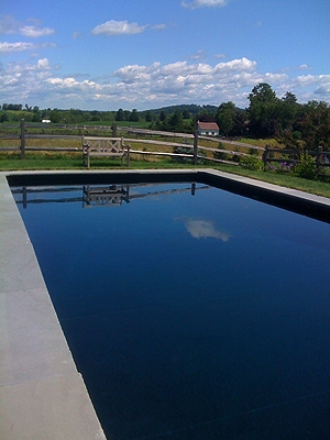 view of pool an